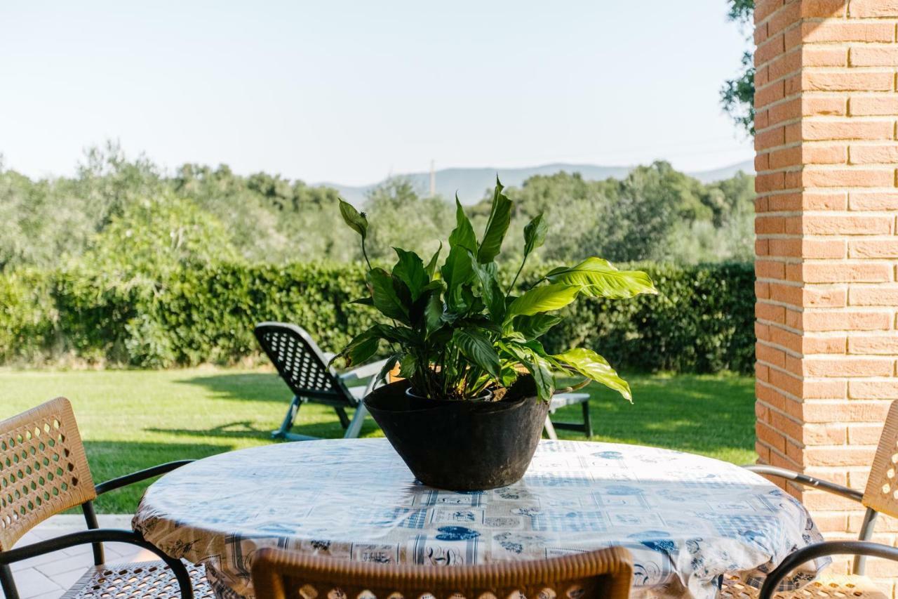 Agriturismo Casa Andreina Castiglione della Pescaia Bagian luar foto