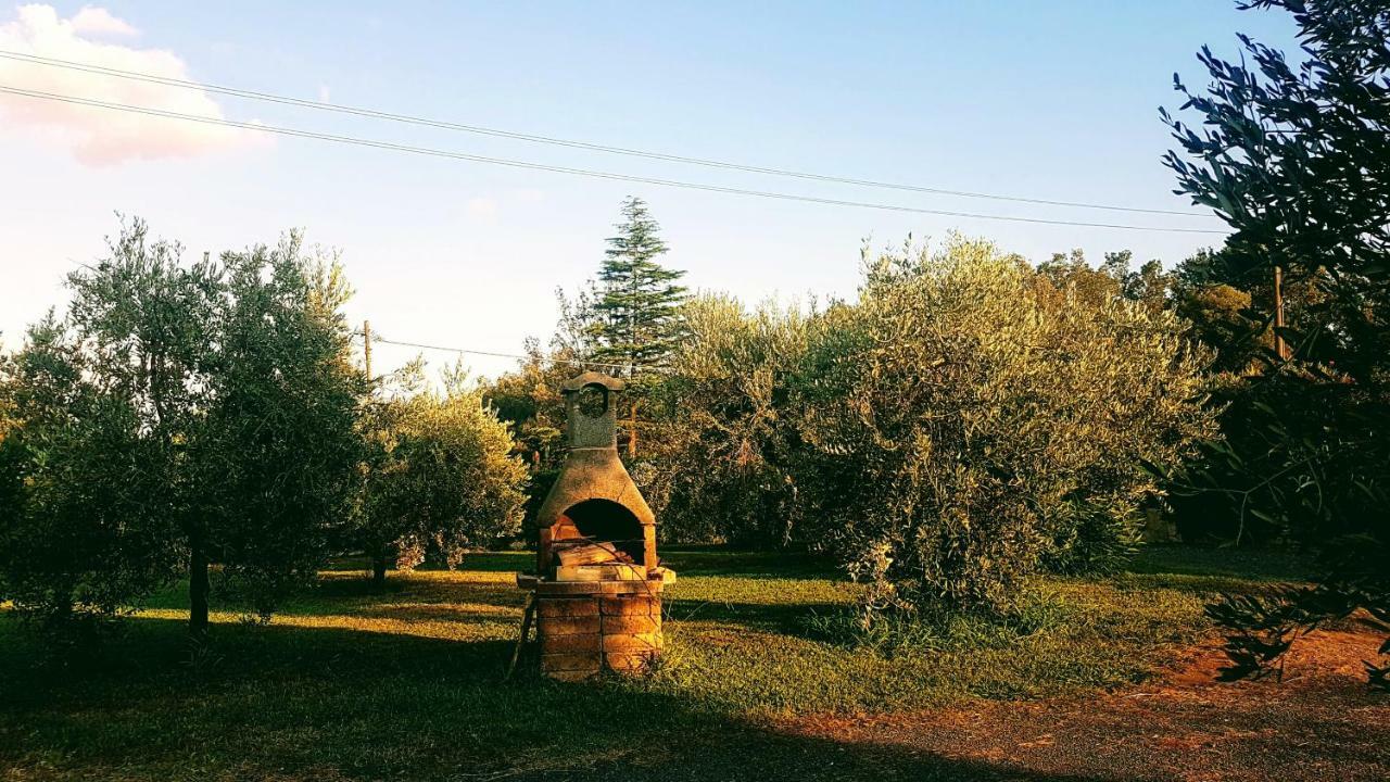 Agriturismo Casa Andreina Castiglione della Pescaia Bagian luar foto